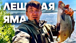СМОТРИ ЭТО ЛЕЩЕВАЯ ЯМА. МОЩНЫЕ ПОКЛЕВКИ ЛЕЩА. Рыбалка на фидер.