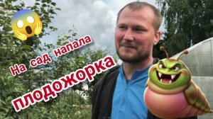 6.07.2026 Ливень, град, да еще и плодожорка! Пытаемся отбить урожай 🤣