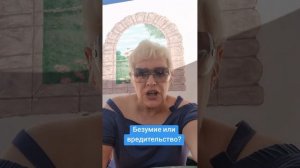 Безумие или вредительство?