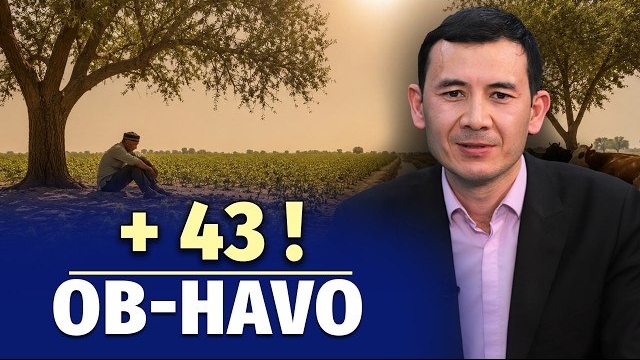🍿 Jazirama sinovi boshlandi. 🍿 Испытание на выносливость началось смотреть онлайн