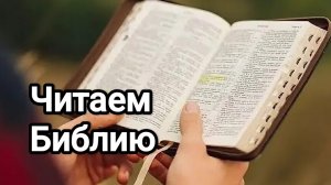 Библия. Пятикнижие. Бытие. Глава 8