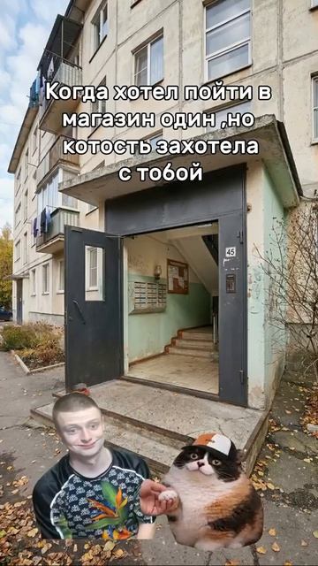 Котость
