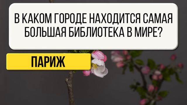 Насколько Вы умны? Интересный тест на эрудицию - Викторина №3 смотреть онлайн