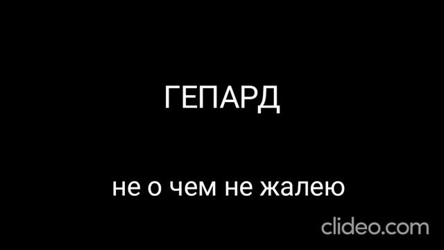 Гепард-Не о чём не жалею смотреть онлайн