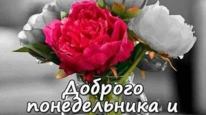 С добрым утром понедельника. Красивая музыкальная открытка.