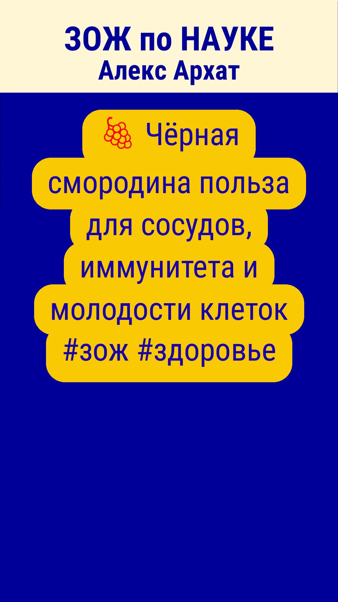 🍇 Чёрная смородина польза для сосудов, иммунитета и молодости клеток #зож #здоровье