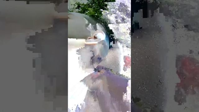 вызывает 3 дняв леск смотреть онлайн