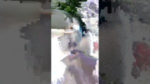 вызывает 3 дняв леск