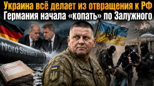 Немецкая Фемида добралась до подрывников «Северных потоков»