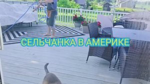 США НАША ЖИЗНЬ НА ХУТОРЕ МОЮ ДОМ ХОЗЯЙСТВО