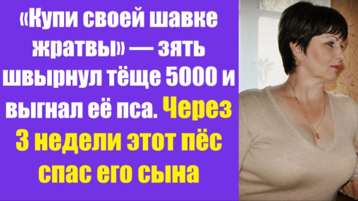 Истории из жизни | Аудио рассказы | «Купи своей шавке жратвы» — зять швырнул тёщ | Жизненные истории