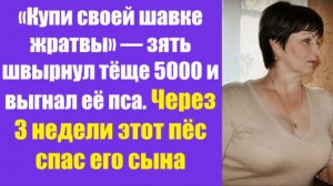 Истории из жизни | Аудио рассказы | «Купи своей шавке жратвы» — зять швырнул тёщ | Жизненные истории