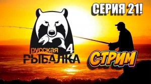 Сбор на ПАЛАТКУ и Поездку! Русская рыбалка 4! Серия 21