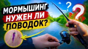 Поводок для мормышинга. Нужен или нет?