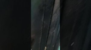 1000907631.mp4