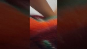 VID_20260706_182940.mp4