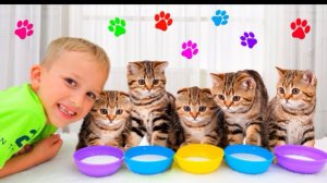 🍿 Влад и Ники играют с котятами