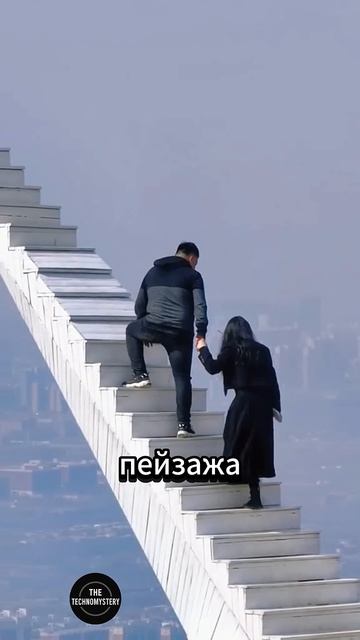 8831956958083506282
