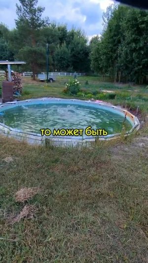 Неужели болото снова стало бассейном? 😳💦