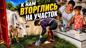 ИСХОД РУССКИХ МУЖИКОВ В ДЖУНГЛИ. НЕОЖИДАННЫЕ Гости на Участке  Солнечная Станция ПОД УГРОЗОЙ  Быт