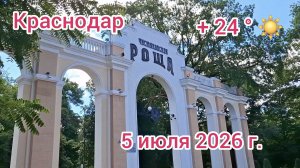 Краснодар - Чистяковская роща - прогулка - 5 июля 2026 г.