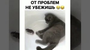 БЫВАЕТ