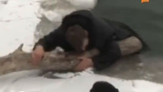 спасатели смотреть онлайн