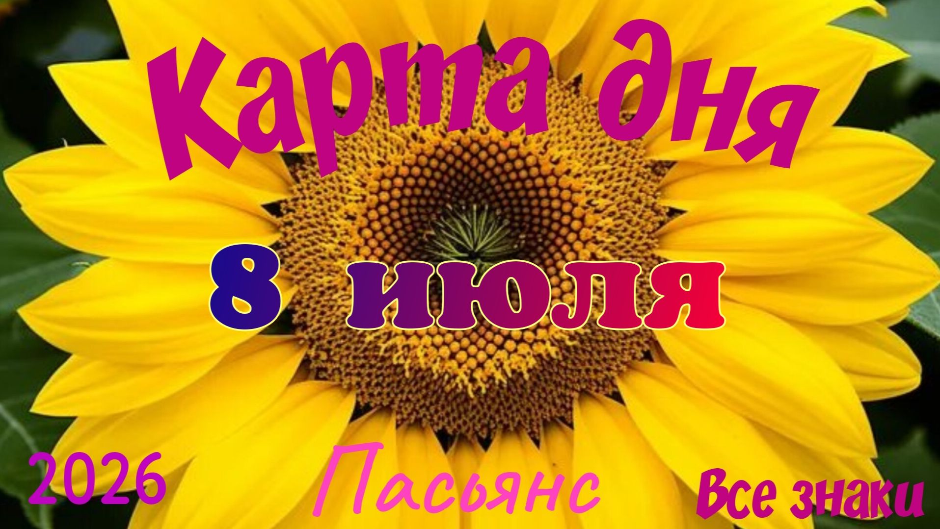 Карта дня🍒8 июля🍀💫Пасьянс. Тайм-код в описании 🦢 смотреть онлайн