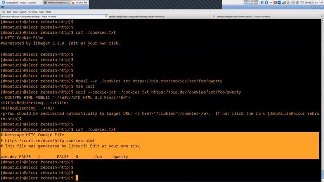 Linux by Rebrain: HTTP-клиенты для Linux смотреть онлайн