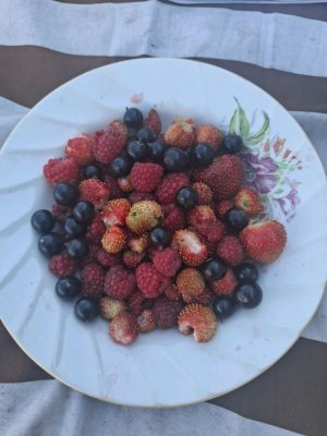 я купатся иду