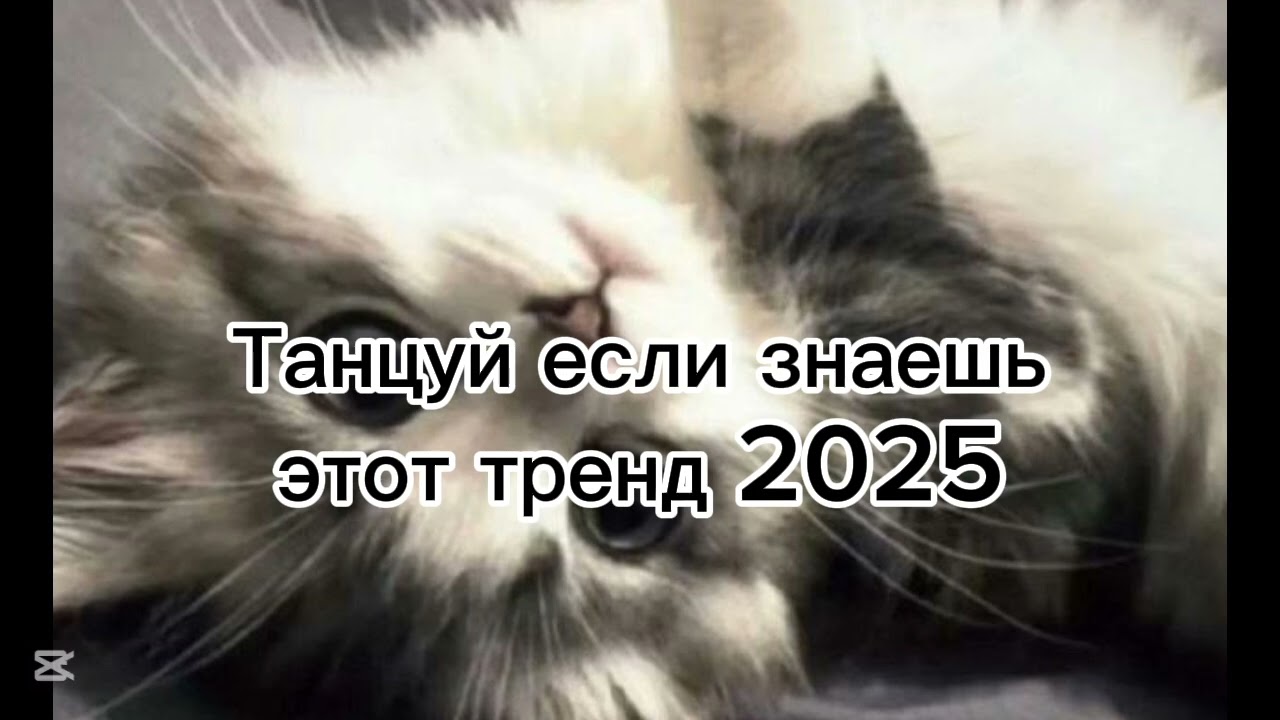 Танцуй если знаешь этот тренд 2025🎀 #рек #рекомендации #танцы #тренды #рееееееееек #2025