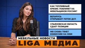 Кто станет новым крупным поставщиком ДСП плит? | Новости LIGA МЕДИА