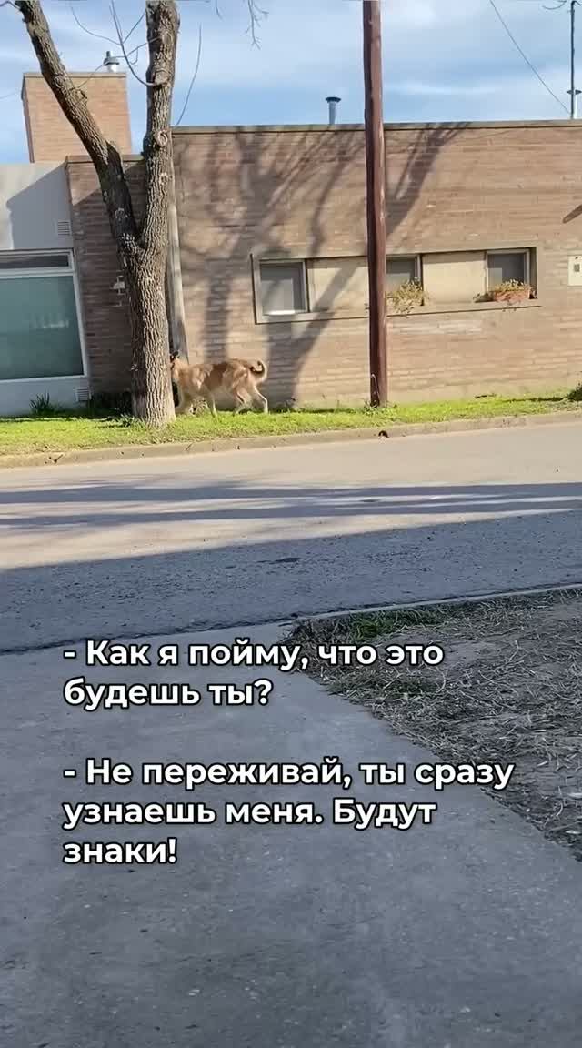 Как я пойму, что это будешь ты? смотреть онлайн
