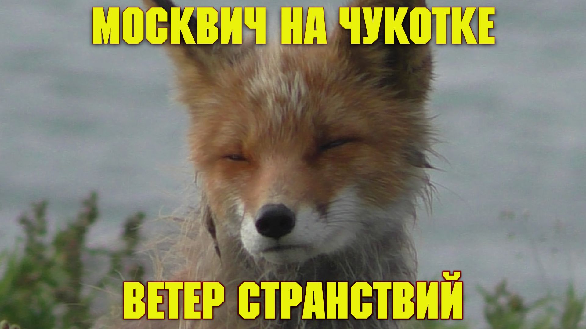 Путешествия
