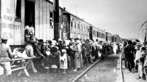 Их грузили как скот: депортации народов СССР, от которых стынет кровь