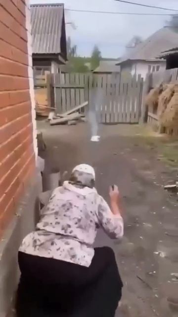 Тазик