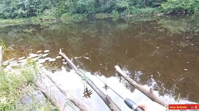 Когда кренки молчат🎣🐋👌