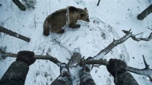 ОДИН НА ОДИН С МЕДВЕДЕМ-ШАТУНОМ: ДВОЕ СУТОК НА ДЕРЕВЕ БЕЗ ЕДЫ И ВОДЫ. ШОКИРУЮЩАЯ ИСПОВЕДЬ ВЫЖИВШЕГО