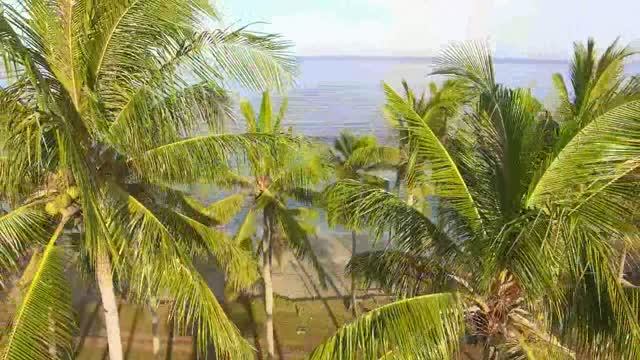 Ах море...море.. смотреть онлайн