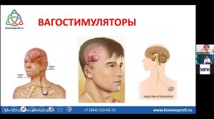 Блуждающий нерв Запись прямого эфира с проф. Васильевой
