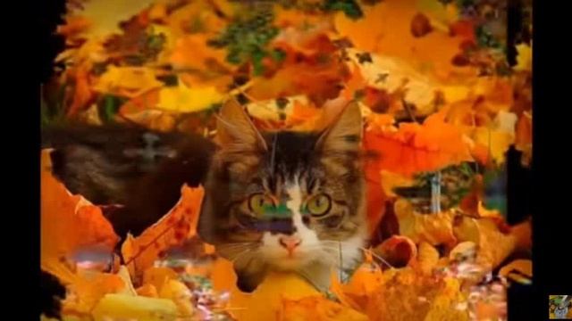 ФЕДОР ТЮТЧЕВ - Листья..., муз., исп. #СамуилФрумович