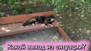 ❤️Намучалась я с ними/ Эпидемия в доме/ Ночной экскурс по заправкам Краснодарского края