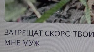 ВОЛОГЖАНКА💥  ШОК от названия  ролика💥 ПОДПИШИСЬ💯