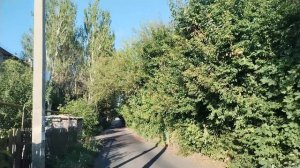 А ПОЧЕМУ И НЕ ПОГОВОРИТЬ ✨ КАКИЕ ОНИ КРАСИВЫЕ