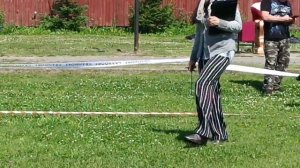 БЕБИ СУКИ / КЧК ВОЛОГДА 4 июля`26 Е.Близнецова Моно немецких овчарок