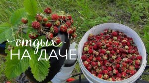 Михалыч - ну ты попал!😜🍓🍓