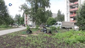 В Петрозаводске в сквере имени Жуковского высадили клены, рябины и спиреи