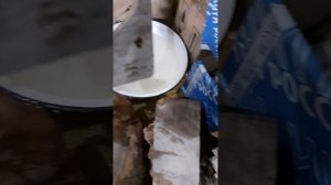 Золотая камфора.видео для Оксаны