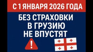 С 2026 года без страховки в Грузию не впустят — новые правила въезда иностранцев #грузия #страховка