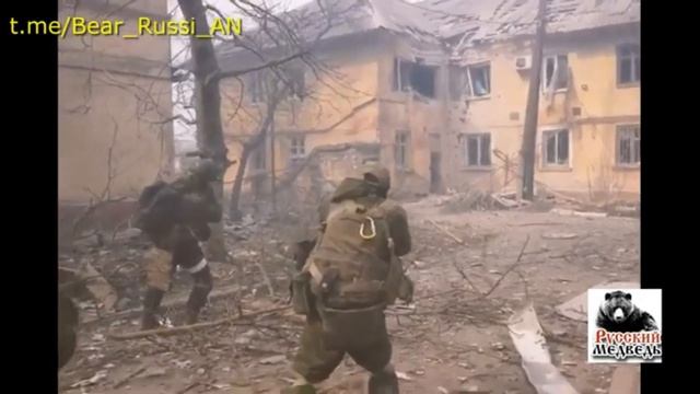 Голубь мира Трофим смотреть онлайн